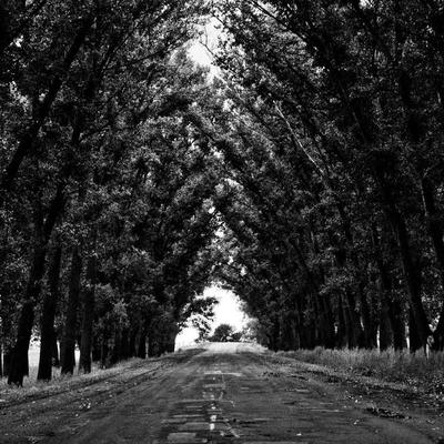 Johnson's Balance Bike 27"