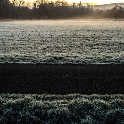 Tetra Adult Dog Food 29kg Chicken - Variant 5