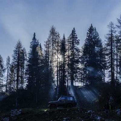 Whiskas Adult Dog Food 61kg Chicken - Variant 11