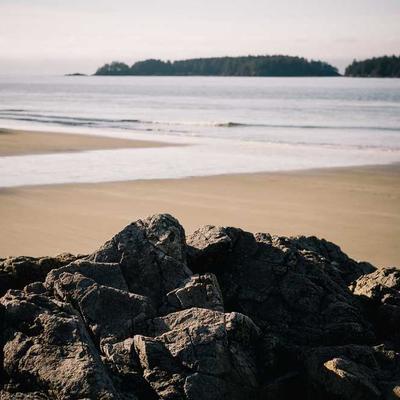 Montego Dog Treats Dental 17pc - Variant 12