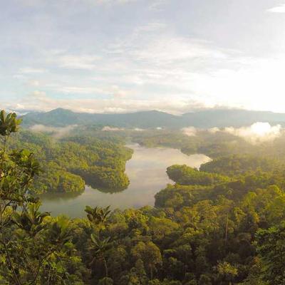 Kenwood Bread Bin Stainless 6L - Variant 6