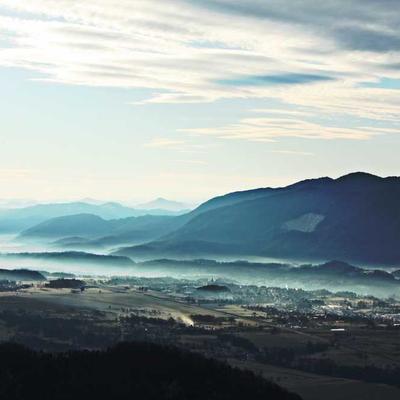 PetSafe Kitten Food 76kg