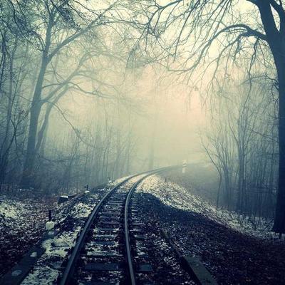 PetSafe Adult Cat Food 98kg Fish - Variant 9