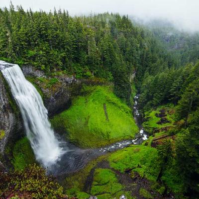 Whiskas Cat Feather Wand - Variant 8