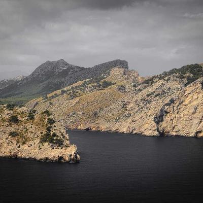 Whiskas Cat Feather Wand - Variant 8