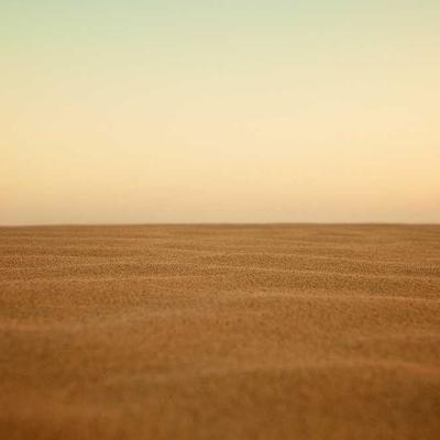 Royal Canin Pet Crate 60" Folding