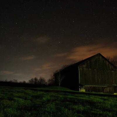 Ultra Dog Cat Tree 97cm Tower - Variant 5