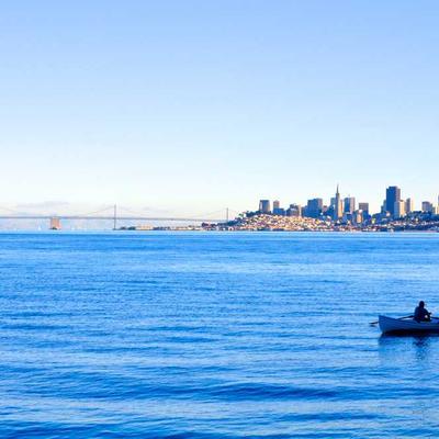 Ruffwear Harness No-Pull Size 23 - Variant 7