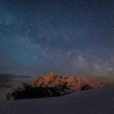 Tetra Retractable Lead 50m - Variant 11