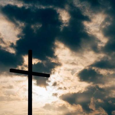 Hill's Dog Jacket Winter Size 76