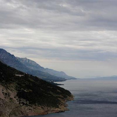 Royal Canin Pet Bandana 92-Pack - Variant 7