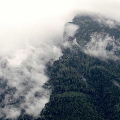 Pedigree Dog Raincoat 34cm - Variant 8