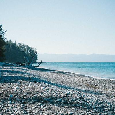 Whiskas Dog Jacket Winter Size 75 - Variant 10