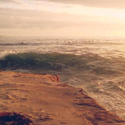 Ergotron Label Sheets A4 19x4 - Variant 7