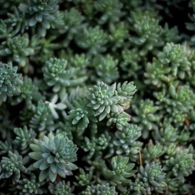 Fellowes Cable Management Box - Variant 10