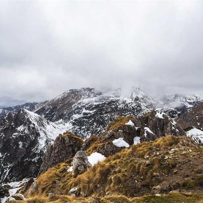 Le Creuset Green Tea 130s Organic - Variant 7