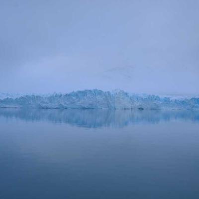 Parrot Whiteboard Markers 74pk - Variant 12