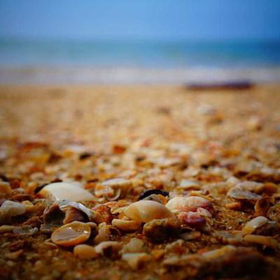 Whirlpool Top Freezer Fridge 2260L - Variant 8