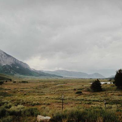 Dyson Flatbed Microwave 900L