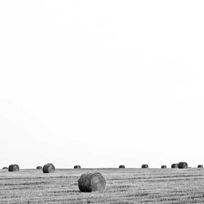 Russell Hobbs All-Purpose Cleaner 11ml