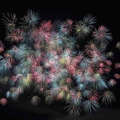 Electrolux Canister Vacuum 88400W - Variant 7