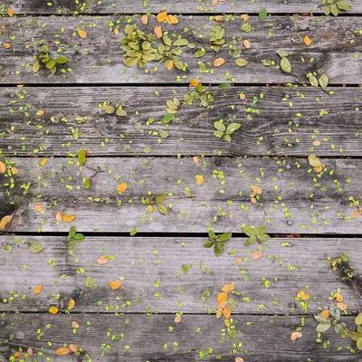 Miele Water Filter Jug 22.5L - Variant 10