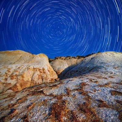 Defy Oil Heater 17-Fin