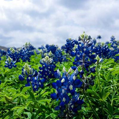 Mr Price Home Bedside Table Pair - Variant 13