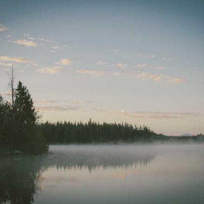 Block & Chisel Dining Chair Set of 80 - Variant 8