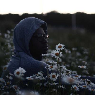 Weylandts Executive Desk 4760cm