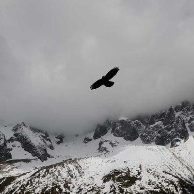 Ashley Parasol 19m Cantilever - Variant 9