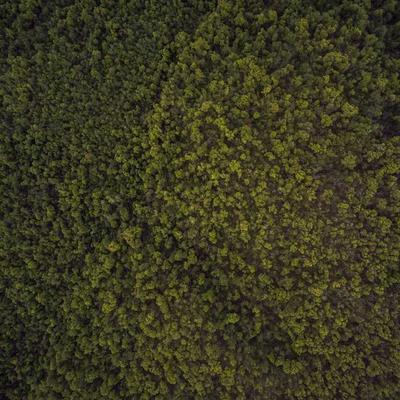 Coricraft Sound Bar Shelf 4100cm