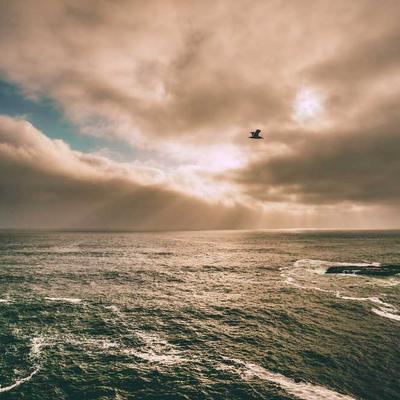 Weylandts TV Bracket Swivel 875-65" - Variant 6