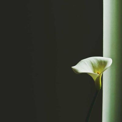 Citizen Diver's Watch 1400m - Variant 7