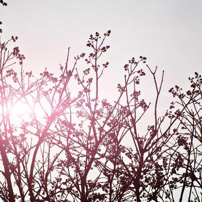 Fossil Leather Wrap Bracelet - Variant 12