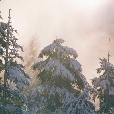 Thomas Sabo Engraved Cufflinks Gold