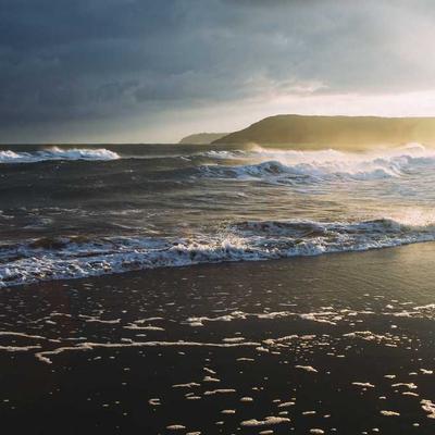 Citizen Engraved Cufflinks Gold - Variant 10