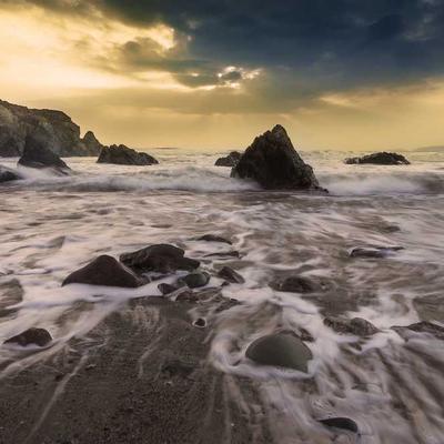 Michael Kors Pearl Earrings Freshwater