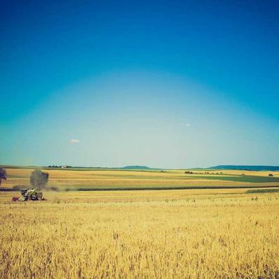 G-Shock Gold Chain 25K 50cm - Variant 6