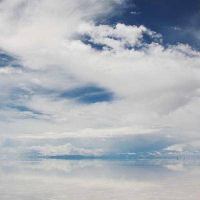 Taylor Condenser Microphone XLR