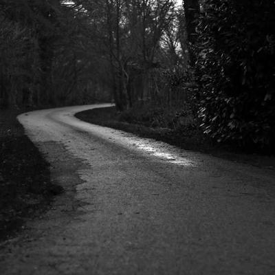 Pearl Flute Silver Plated - Variant 6