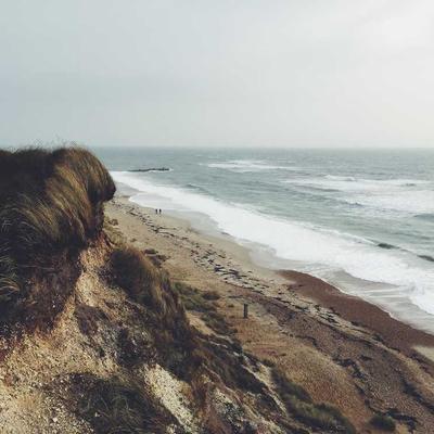 Ibanez Cello Full Size