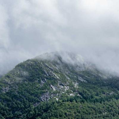 Roland Mandolin A-Style - Variant 10