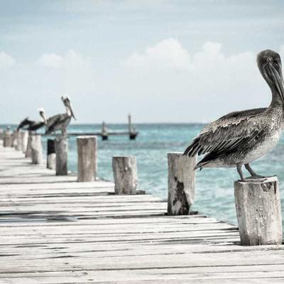 Martin Practice Amp 90W - Variant 6