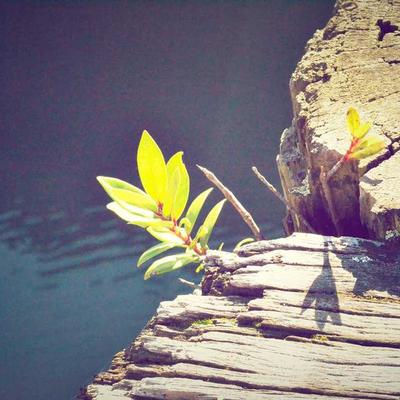 Taylor Beginner Piano Book