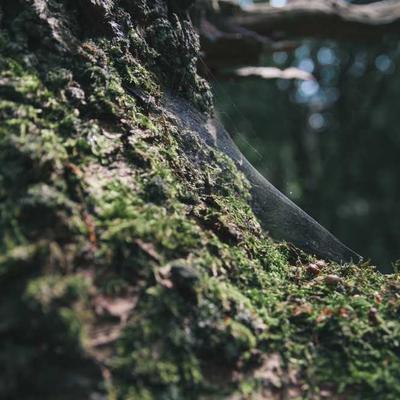 Casio Guitar Tab Collection - Variant 11