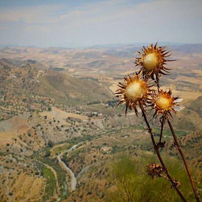 GiftHub Appliance Repair Service - Variant 11