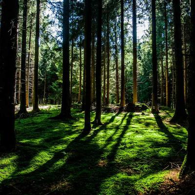 PlanPlus Window Cleaning Service