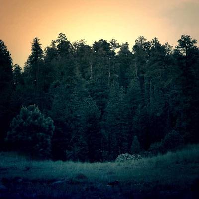 Lodge Area Rug 92x2m Modern