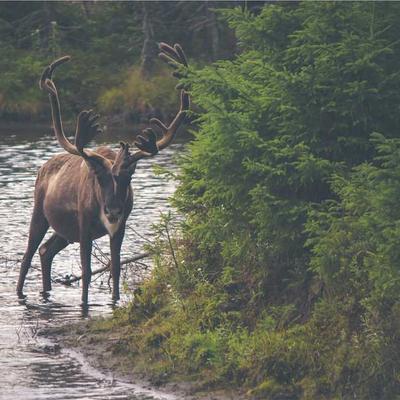 CoverMore Kitchen Design Service